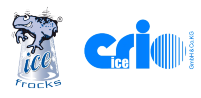 Crio ice ICEFROCKS Convenience Eis